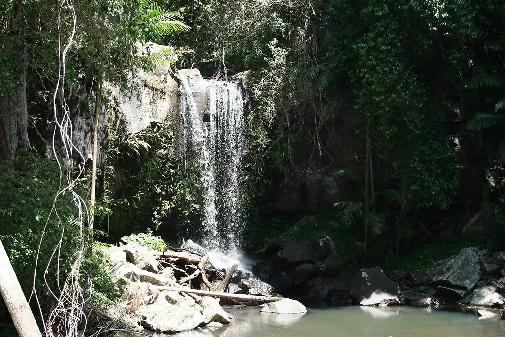 Jacaranda Homestead Accommodation Mount Tamborine