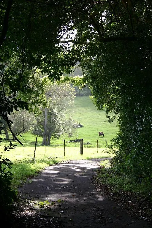 Holiday home Jacaranda Homestead Accommodation Mount Tamborine Australia
