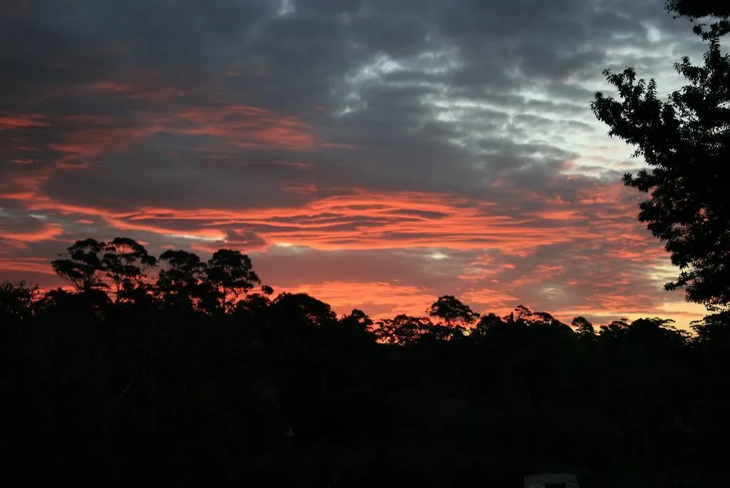 Holiday home Jacaranda Homestead Accommodation Mount Tamborine