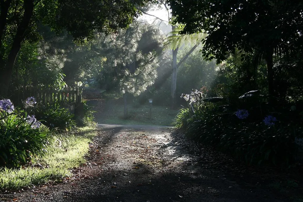 Jacaranda Homestead Accommodation Mount Tamborine Australia