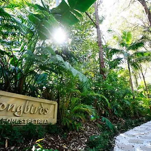 Villa Songbirds Rainforest Retreat, Mount Tamborine