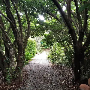Lodge Camelot Boutique, Mount Tamborine