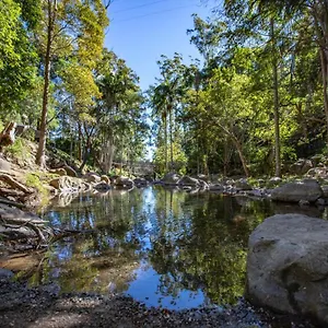 Cedar Creek Mount Tamborine