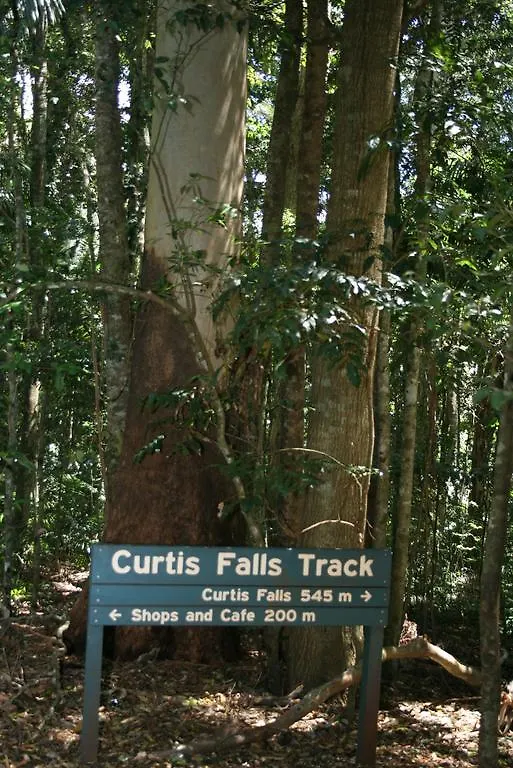 Jacaranda Homestead Accommodation Mount Tamborine 0*,